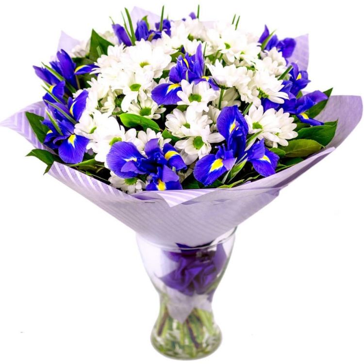 Океан от 8 200 руб.